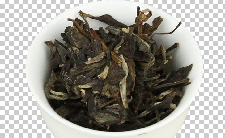 Nilgiri Tea Dianhong White Tea Oolong PNG, Clipart,  Free PNG Download
