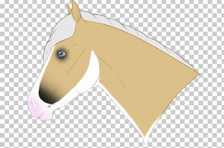 Pony Mustang Halter Mane Rein PNG, Clipart, Animal, Fictional Character, Halter, Head, Horse Free PNG Download