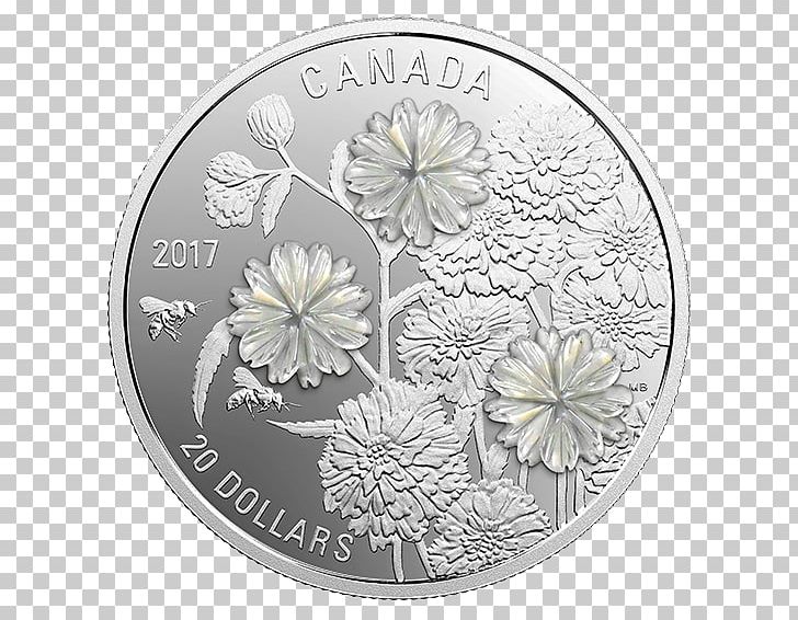Silver Coin Canada Flower PNG, Clipart, American Silver Eagle, Black And White, Bullion, Bullion Coin, Canada Free PNG Download