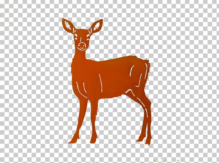 White-tailed Deer Elk Reindeer Antelope PNG, Clipart, Animals, Antelope, Antler, Deer, Deer Hunting Free PNG Download