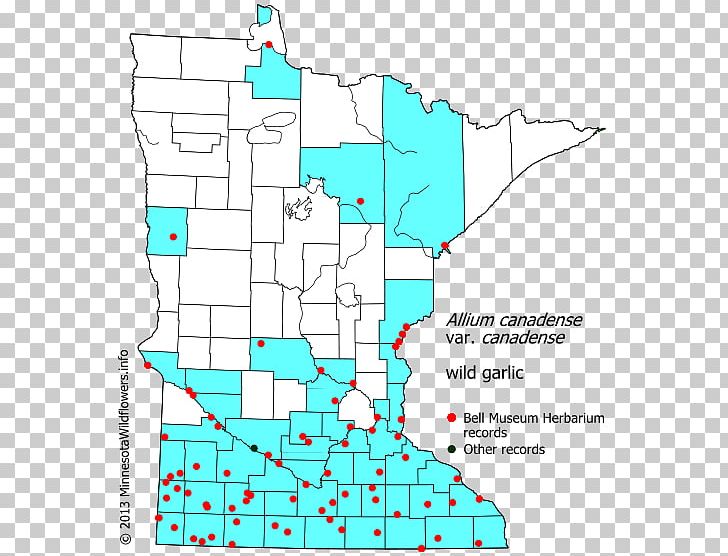 Minnesota Line Point Angle Diagram PNG, Clipart, Angle, Area, Art, Diagram, Line Free PNG Download