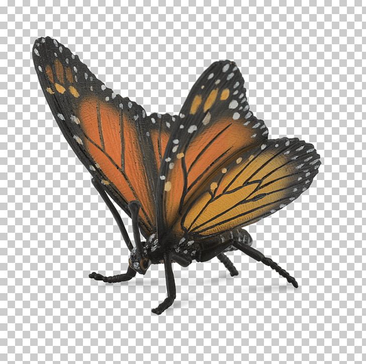 Monarch Butterfly Butterflies & Insects Toy PNG, Clipart, Action Toy Figures, Arthropod, Brush Footed Butterfly, Butterflies And Moths, Butterflies Insects Free PNG Download