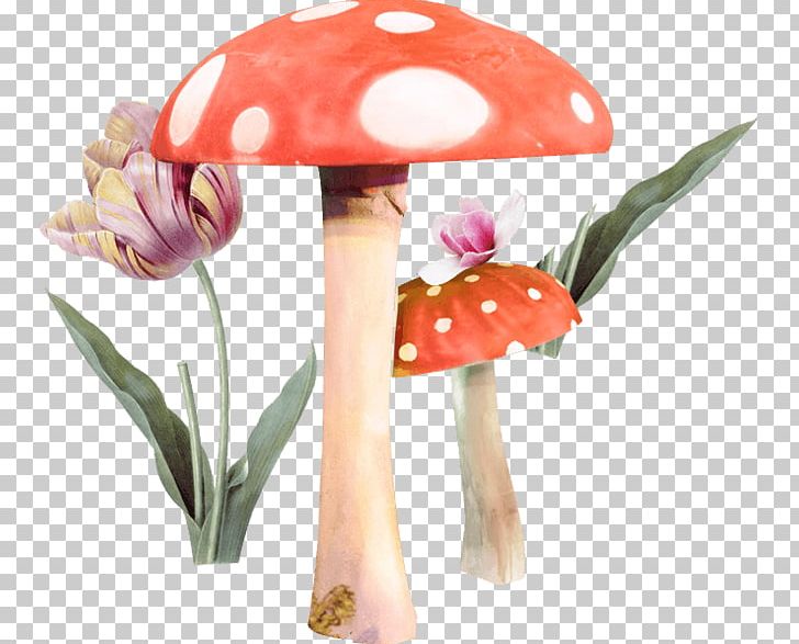 Mushroom Fungus PNG, Clipart, Cartoon, Child, Cut Flowers, Download, Encapsulated Postscript Free PNG Download