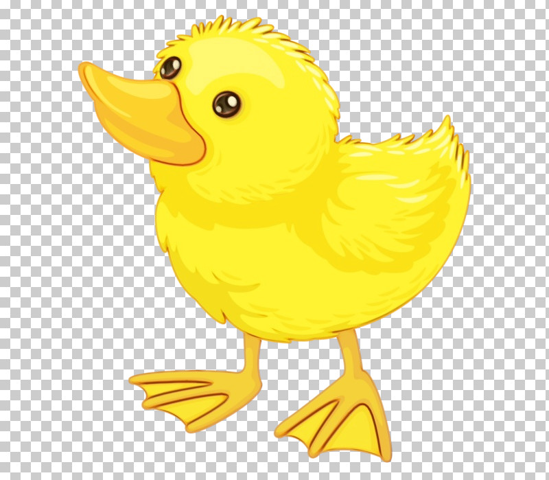 Yellow Bird Duck Beak Cartoon PNG, Clipart, Beak, Bird, Cartoon, Duck, Ducks Geese And Swans Free PNG Download