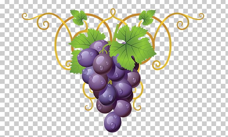 Common Grape Vine Wine Concord Grape PNG, Clipart, Common Grape Vine, Concord Grape, Drawing, Flowering Plant, Food Free PNG Download