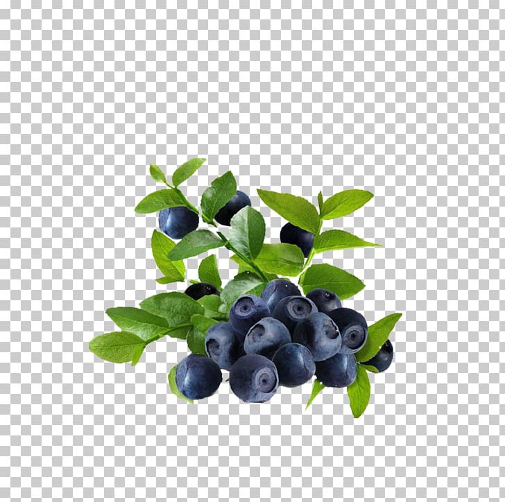 Juice Frutti Di Bosco Blueberry Bilberry Leaf PNG, Clipart, Berry, Blueberry Bush, Blueberry Cake, Blueberry Jam, Blueberry Juice Free PNG Download