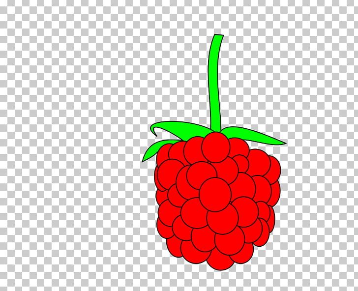 Raspberry Free Content PNG, Clipart, Berry, Blackberry, Black Raspberry, Cherry, Cliparet Free PNG Download