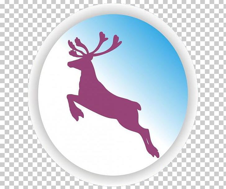 Reindeer PNG, Clipart, Animal, Animals, Antler, Beautiful, Christmas Deer Free PNG Download