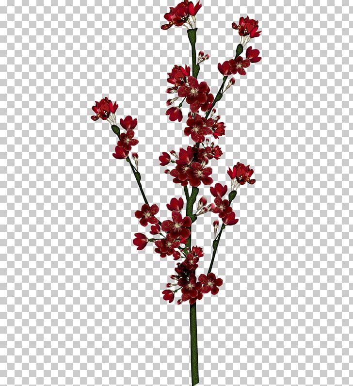 Cut Flowers Petal PNG, Clipart, Blanket Flowers, Blog, Branch, Cut Flowers, Flora Free PNG Download
