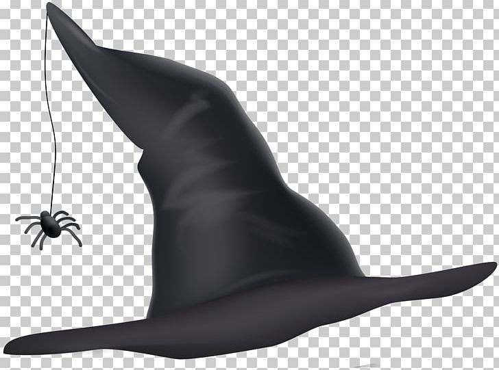 Witch Hat Witchcraft PNG, Clipart, Animation, Cartoon, Fish, Free Content, Halloween Free PNG Download