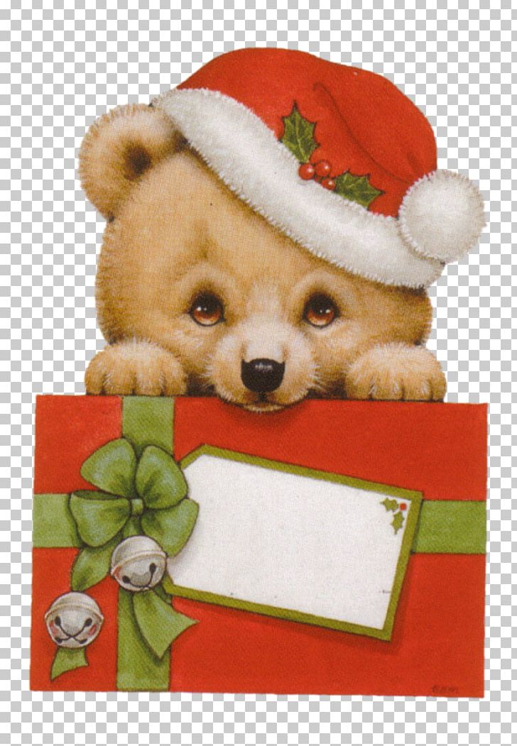 Christmas Card Santa Claus Christmas Gift PNG, Clipart, Bear, Carnivoran, Child, Christmas Card, Christmas Decoration Free PNG Download
