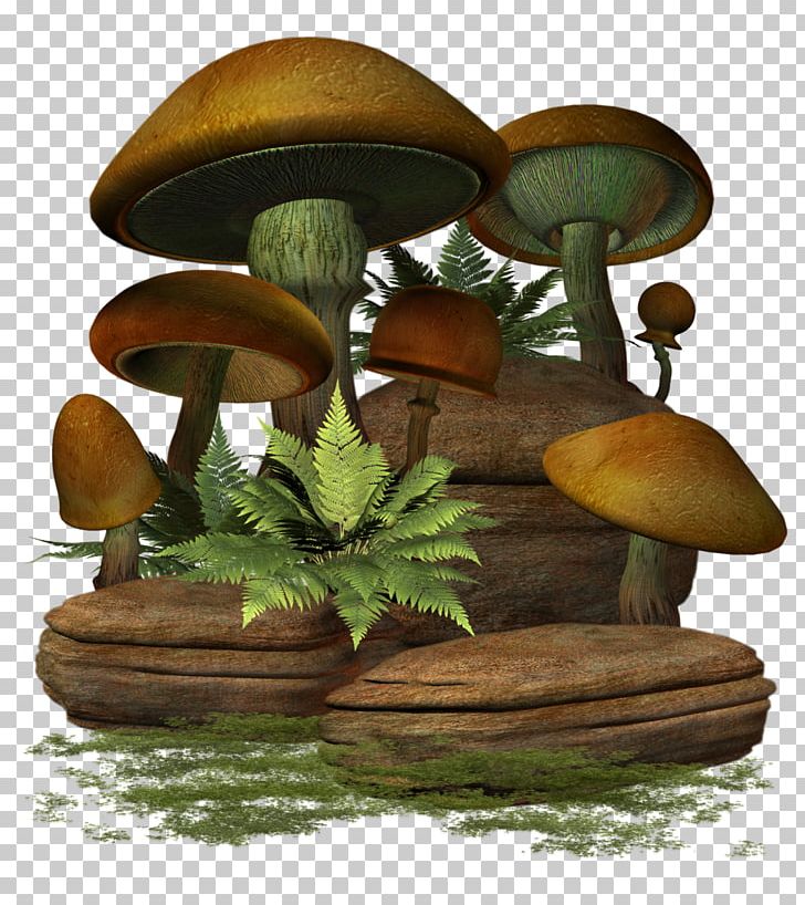Mushroom PNG, Clipart, 3d Computer Graphics, Clip Art, Download, Flowerpot, Food Free PNG Download