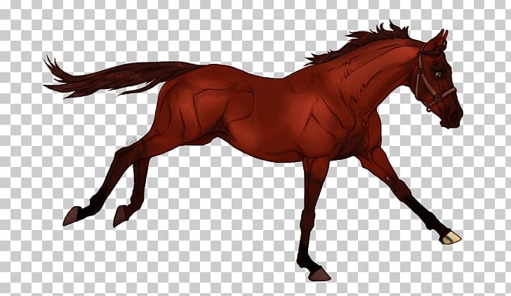 Pony Mane Foal Stallion Mustang PNG, Clipart, Animal Figure, Breed, Bridle, Colt, English Riding Free PNG Download