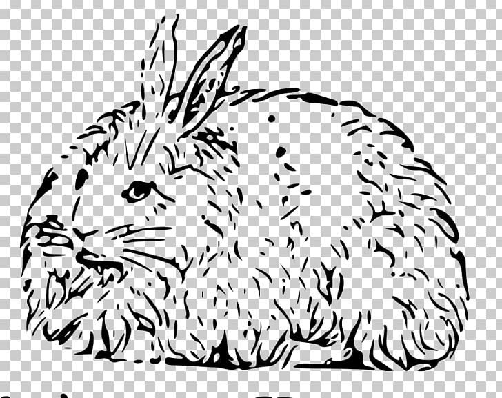Angora Rabbit Domestic Rabbit Easter Bunny PNG, Clipart, Animals, Black, Carnivoran, Cat Like Mammal, Dwarf Rabbit Free PNG Download
