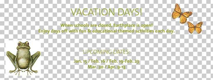 Earthplace Brujarella School Holiday Paper Email PNG, Clipart, Brand, Brujarella, Electronic Mailing List, Email, Mammal Free PNG Download