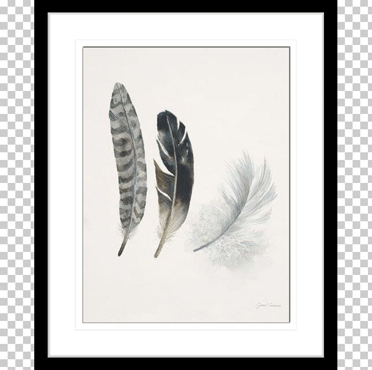 Feather Oil Painting Art PNG, Clipart, Abstract Art, Animals, Art, Bird, Black And White Free PNG Download