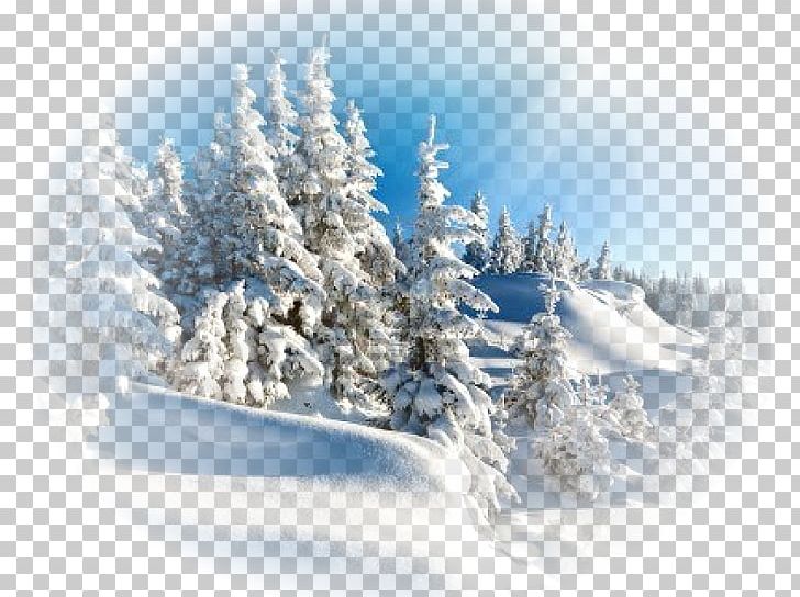 Desktop Winter Snow PNG, Clipart, Christmas Tree, Clip Art, Computer, Computer Wallpaper, Conifer Free PNG Download