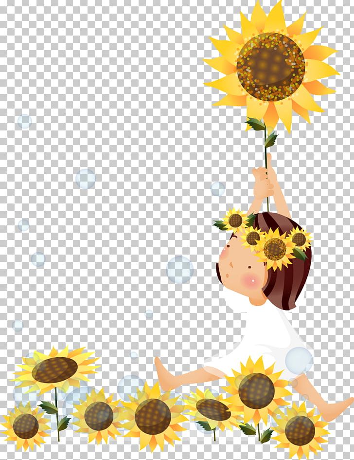 Common Sunflower Sunflower Seed Drawing Sunflower Oil PNG, Clipart, Art, Cartoon, Common Sunflower, Computer Wallpaper, Daisy Family Free PNG Download
