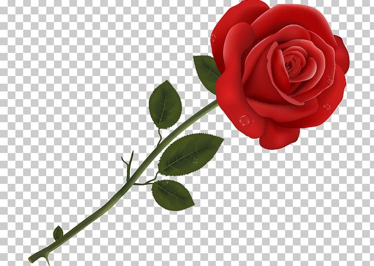 Garden Roses PNG, Clipart, Blog, Blue Rose, Cut Flowers, Decoupage, Desktop Wallpaper Free PNG Download