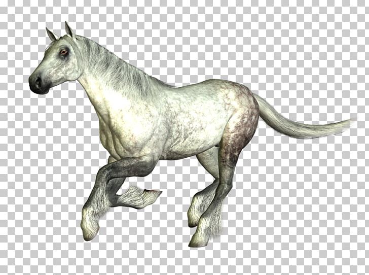Mustang Stallion Mare Mane PhotoScape PNG, Clipart, Animal, Animal Figure, Cabal, Gimp, Halter Free PNG Download