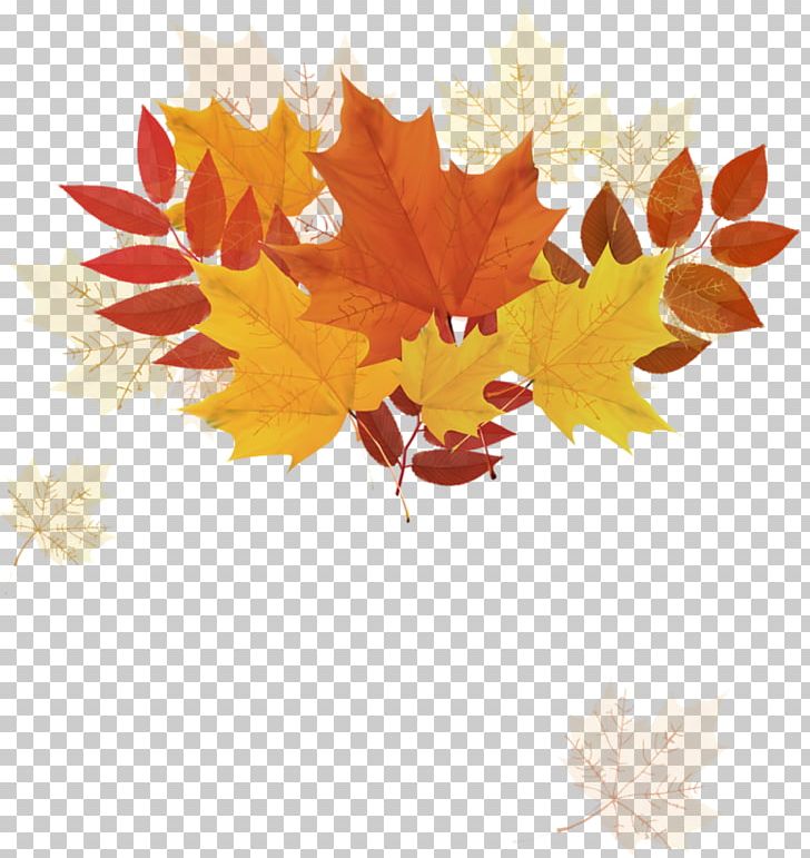 Autumn Leaf Color PNG, Clipart, Art, Autumn, Autumn Leaf Color, Background, Background Vector Free PNG Download