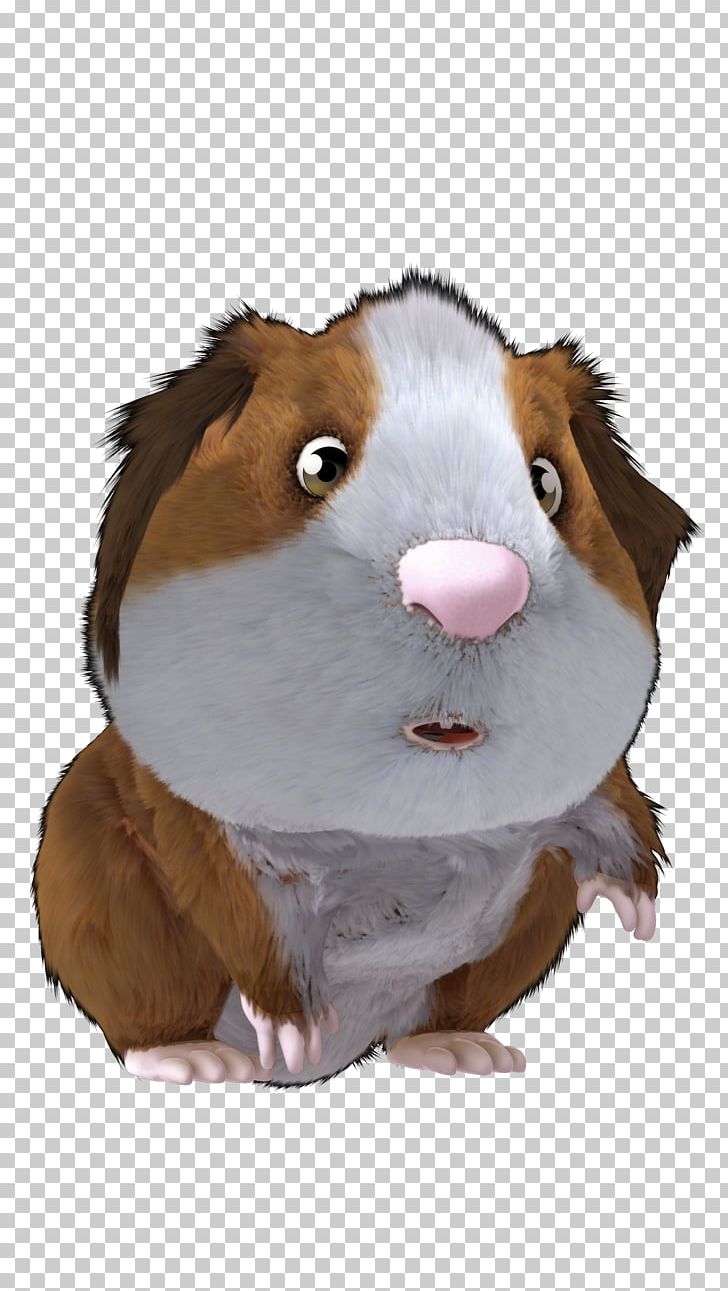 Guinea Pig Stuffed Animals & Cuddly Toys Snout PNG, Clipart, Animals, Fur, Guinea, Guinea Pig, Pig Free PNG Download
