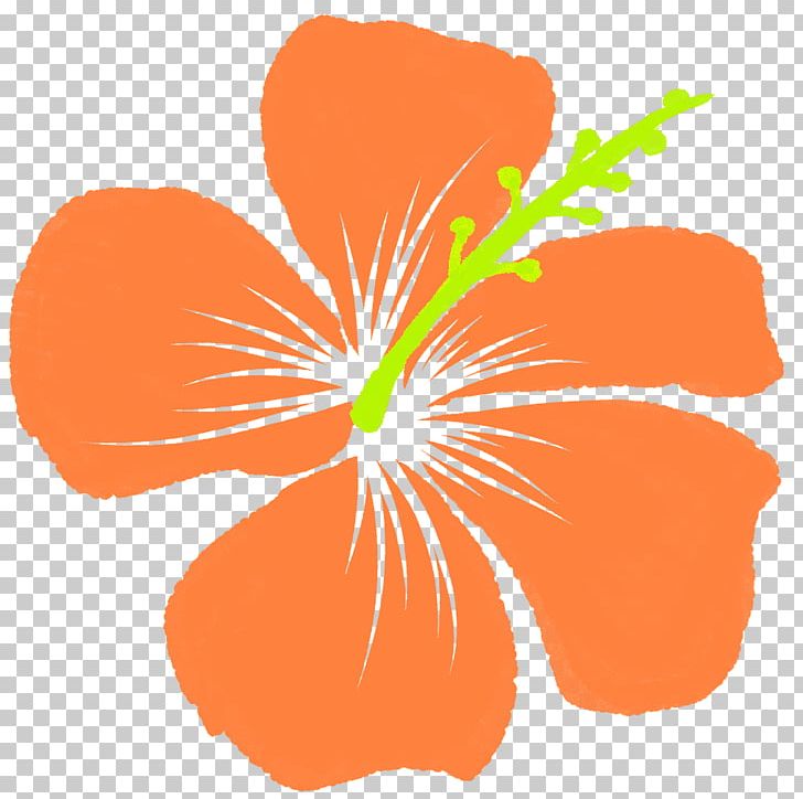 Rosemallows Orange ハイビスカス PNG, Clipart, Blue, Color, Flora, Flower, Flowering Plant Free PNG Download