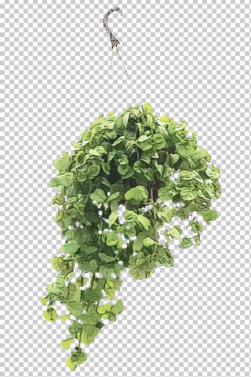 Leaf Flowerpot Herb Tree Branching PNG, Clipart, Biology, Branching, Flowerpot, Herb, Leaf Free PNG Download