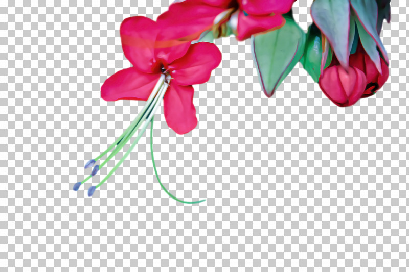 Floral Design PNG, Clipart, Cut Flowers, Floral Design, Flower, Flower Bouquet, Flower Floral Flowers Free PNG Download