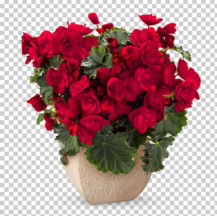 Flower Bouquet Red Rose Floristry PNG, Clipart, 1800flowers, Annual Plant, Artificial Flower, Begonia, Flower Free PNG Download