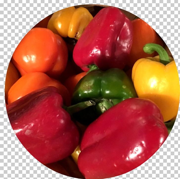 Habanero Piquillo Pepper Bell Pepper Vegetarian Cuisine Paprika PNG, Clipart, Bell Pepper, Bell Peppers And Chili Peppers, Chili Pepper, Food, Fruit Free PNG Download