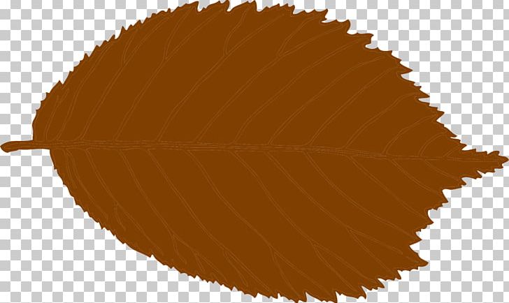 Hazelnut Nuts PNG, Clipart, Autumn, Beech, Brown, Common Hazel, Download Free PNG Download