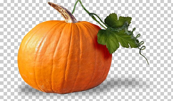 Squash Pumpkin Vegetable Portable Network Graphics Vegetarian Cuisine PNG, Clipart, Commodity, Desktop Wallpaper, Food, Fruit, Gourd Free PNG Download