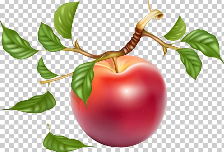 Against His Will Label Sticker PNG, Clipart, Acerola, Acerola Family, Against His Will, Apple, Apple Fruit Free PNG Download