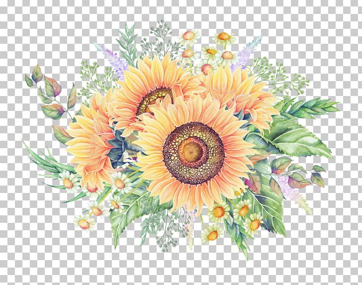 Common Sunflower Cartoon PNG, Clipart, Christmas Decoration, Colored Pencil, Daisy Family, Decorative, Decorative Motifs Free PNG Download