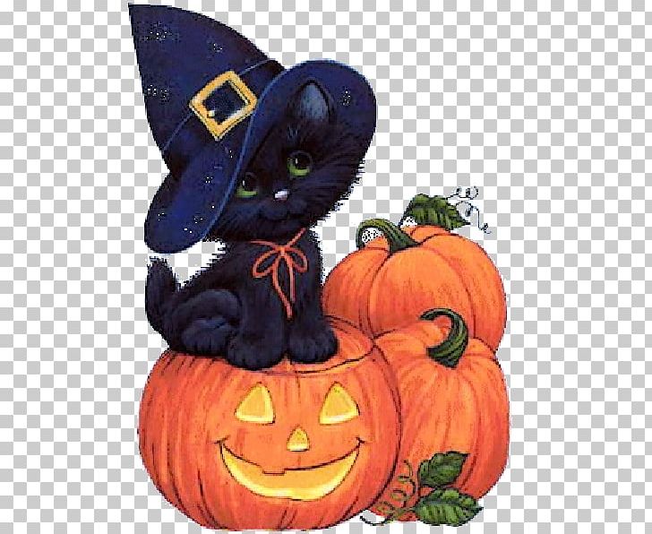 Halloween Party 31 October Blog Witch PNG, Clipart, 31 October, Black Kitten, Blog, Calabaza, Carnivoran Free PNG Download