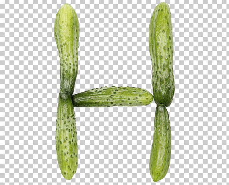 Pickled Cucumber Vegetable Melon PNG, Clipart, Cabbage, Cucumber, Cucumber Gourd And Melon Family, Cucumis, Food Free PNG Download