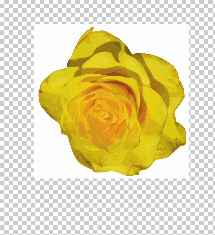 Rose PNG, Clipart, Color, Desktop Wallpaper, Download, Drawing, Flower Free PNG Download