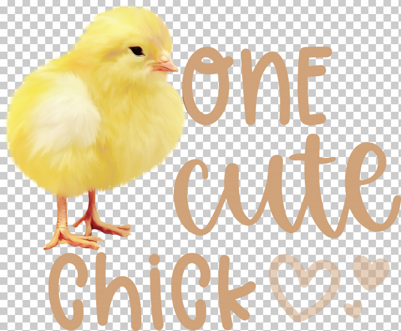 Landfowl Chicken Livestock Yellow Beak PNG, Clipart, Beak, Chicken, Easter Day, Happy Easter, Landfowl Free PNG Download