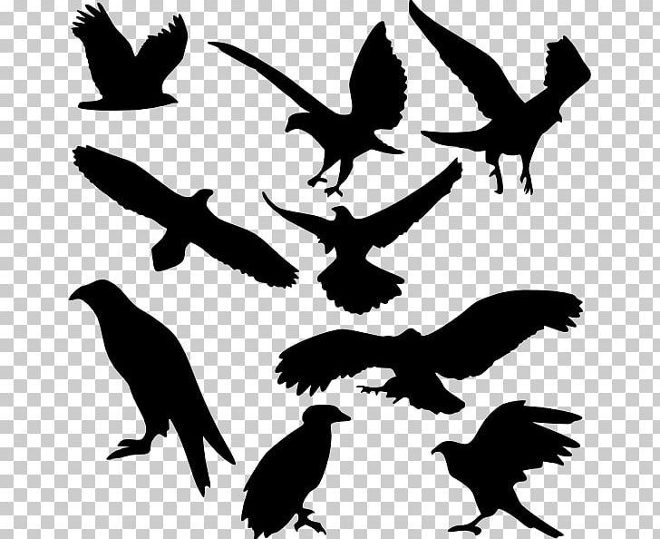 Bird Silhouette PNG, Clipart, Animals, Art, Art Game, Beak, Bird Free PNG Download