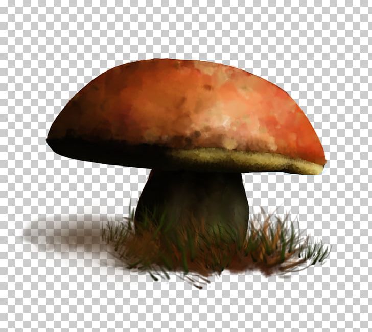 Edible Mushroom Fungus GIF Medicinal Fungi PNG, Clipart, Animaatio, Avatar, Computer Icons, Drawing, Edible Mushroom Free PNG Download