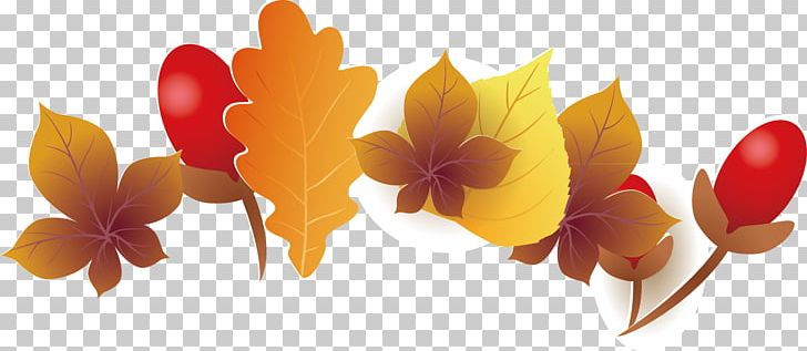 Floral Design Maple Leaf PNG, Clipart, Architecture, Autumn Leaf, Computer Wallpaper, Designer, Download Free PNG Download