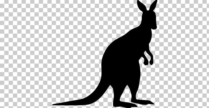 Kangaroo Macropodidae Silhouette PNG, Clipart, Animals, Black And White, Clip Art, Decal, Dog Like Mammal Free PNG Download