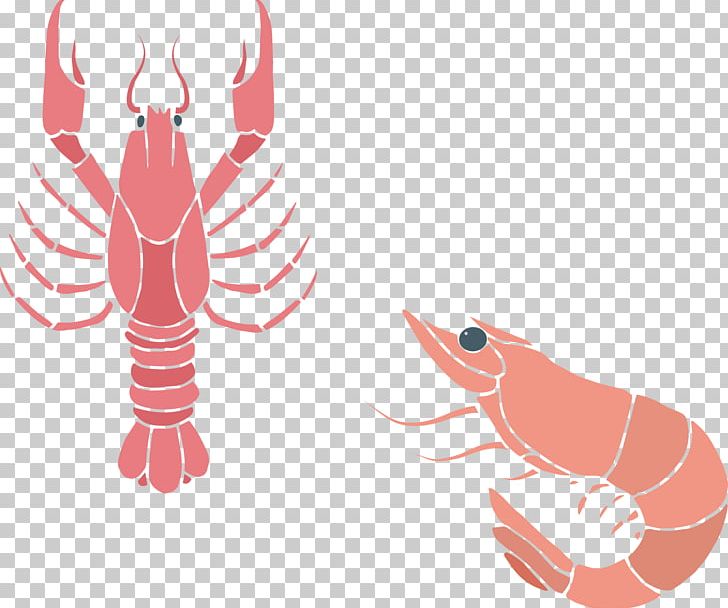 Seafood Caridea Crayfish As Food Lobster PNG, Clipart, American Lobster, Animals, Arm, Art, Cartoon Lobster Free PNG Download