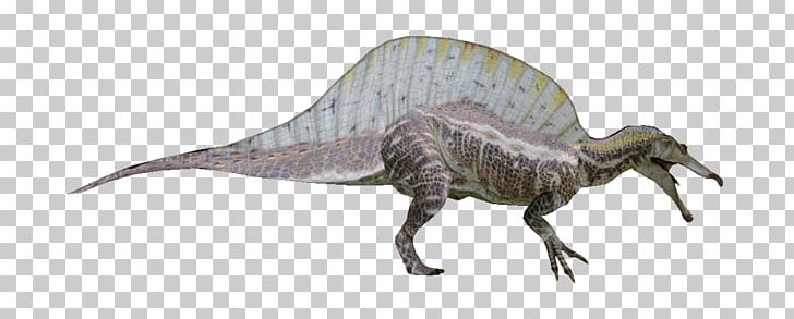 Tyrannosaurus Spinosaurus Kaprosuchus Pachyrhinosaurus Dinosaur Size PNG, Clipart, Animal Figure, Balaur, Baryonyx, Beak, Coon Hunting Free PNG Download
