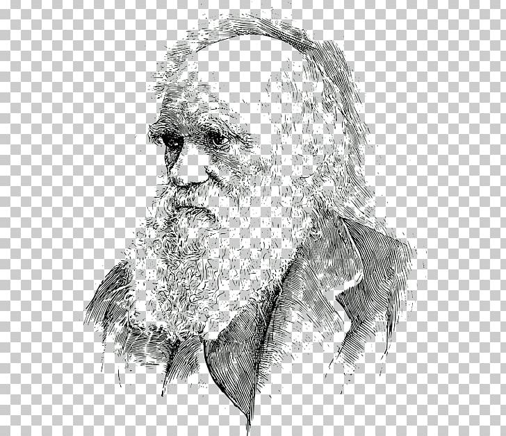 What Darwin Got Wrong Charles Darwin: Victorian Mythmaker Evolution Biology Darwinism PNG, Clipart, Beard, Biology, Black And White, Evolution, Face Free PNG Download