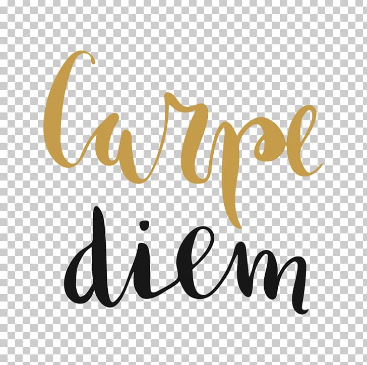 Carpe Diem Lettering Curtain Shower Throw Pillows PNG, Clipart, Assemble, Brand, Calligraphy, Carpe Diem, Computer Wallpaper Free PNG Download