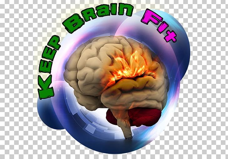 Keep Brain Fit Game Human Brain Golden Brain Award PNG, Clipart, Brain, Cerebral Cortex, Game, Golden Brain Award, Google Keep Free PNG Download