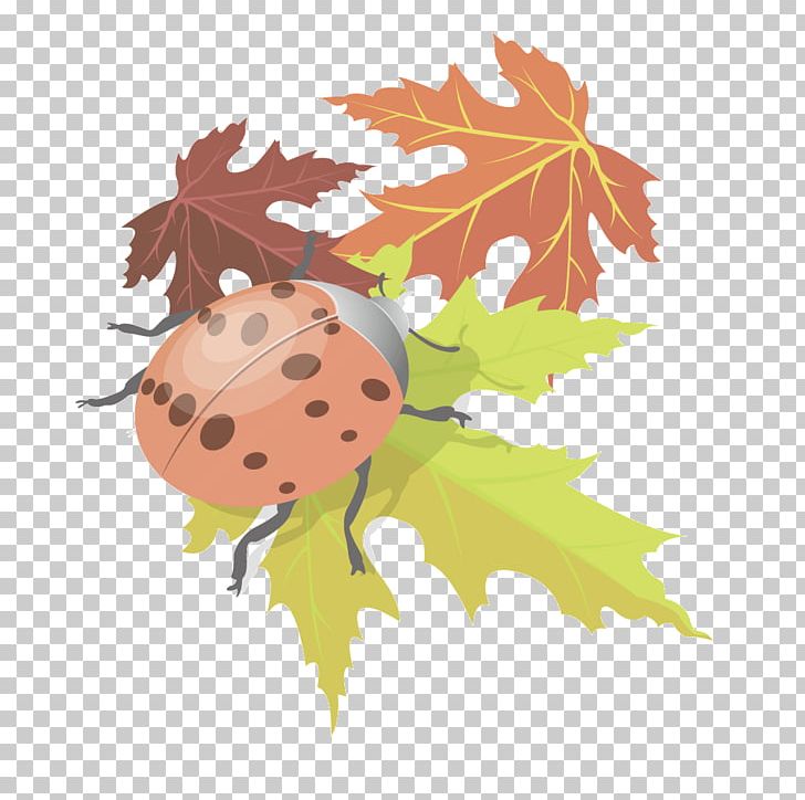Maple Leaf PNG, Clipart, Adobe Illustrator, Animals, Autumn Leaf, Beatles, Beetle Free PNG Download