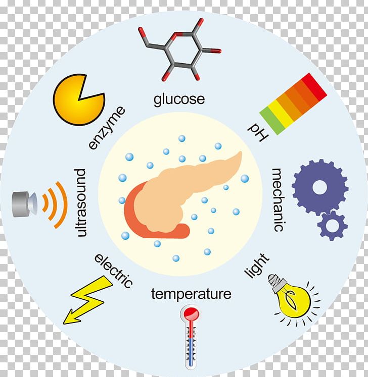 Responsive Web Design Temperature-responsive Polymer Drug Delivery Hydrogel PNG, Clipart, Area, Biological Engineering, Circle, Clock, Diagram Free PNG Download